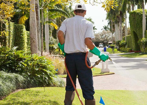 About New Providence PA Pest Control Pros